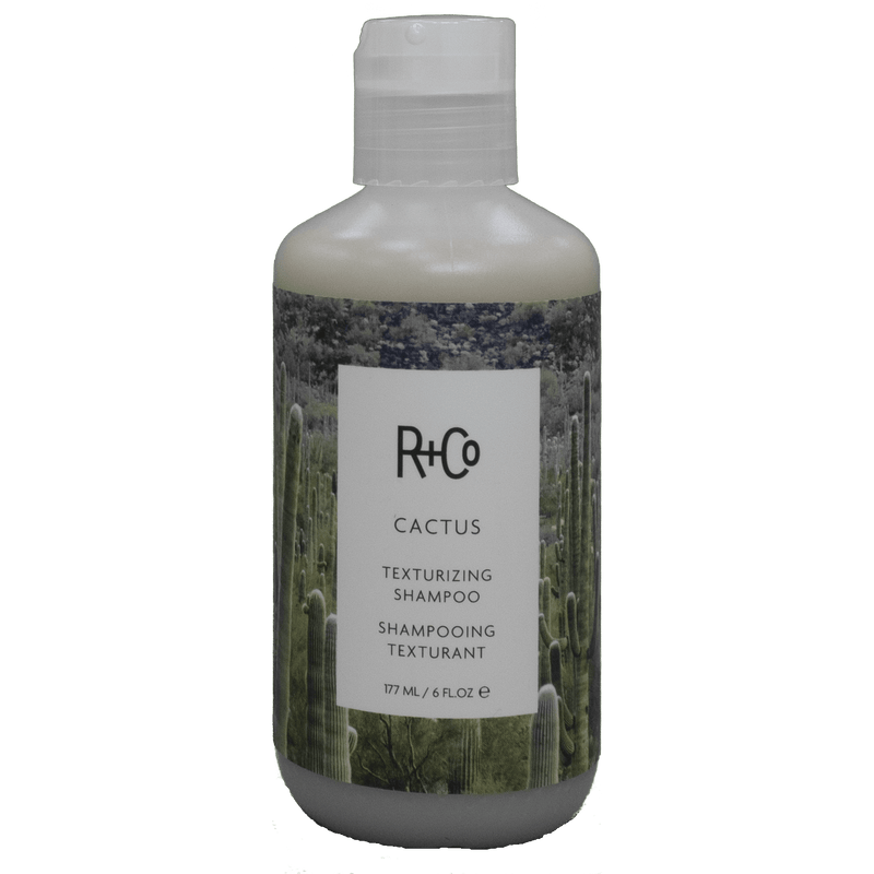 R+Co Cactus Texturizing Shampoo, 6.0 Oz - Lustrous Shine - R+Co