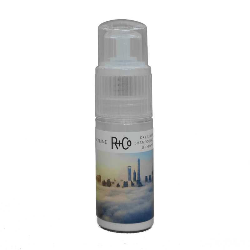 R+Co Skyline Dry Shampoo Powder, 1.0 Oz - Lustrous Shine - R+Co