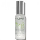 Beauty Elixir 30 ml/ 1 fl. oz. - Lustrous Shine - Caudalie